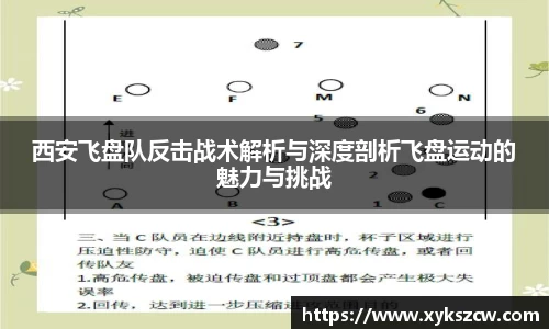 星空xingkong官方网站